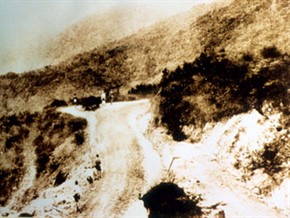 日本統治時代陽明山から竹子湖に桜を植栽