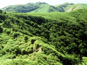 七星山火口