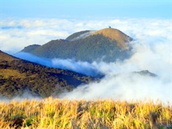 大屯山の雲海