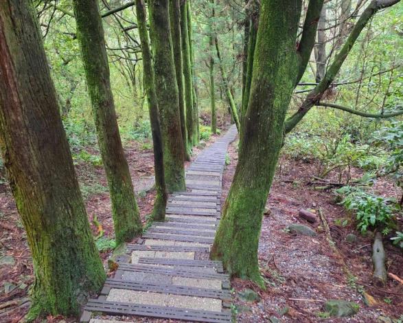 內政部部務會報 115年第7次會後記者會