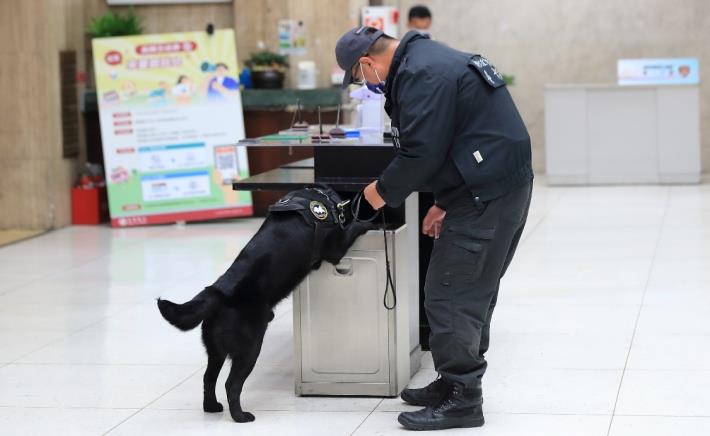 新北市政府警察局警犬隊進行爆裂物偵蒐