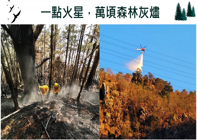 一點火星，萬頃森林灰燼