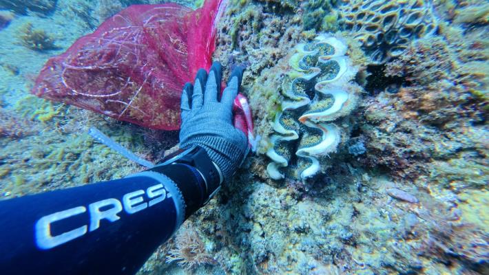 清除海廢維護海洋生態健康-1.JPG