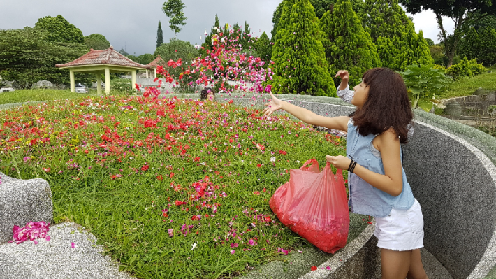 印尼新住民林達分享子女在掃墓在墳上撒花瓣的習俗