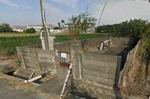 稻作結穗、收割期