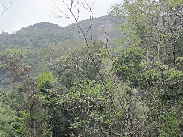 22. 1.5k牧水社山山頂崩毀痕跡.JPG