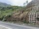 6-公路邊坡約半年後已逐漸長出原生植物小苗_3631-1.JPG