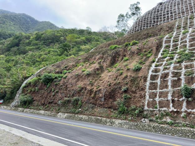 崩塌地之植生復育-邊坡已陸續長出小苗_0