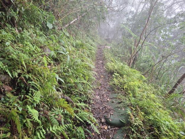 即將完成得卡倫、同禮步道修復_0