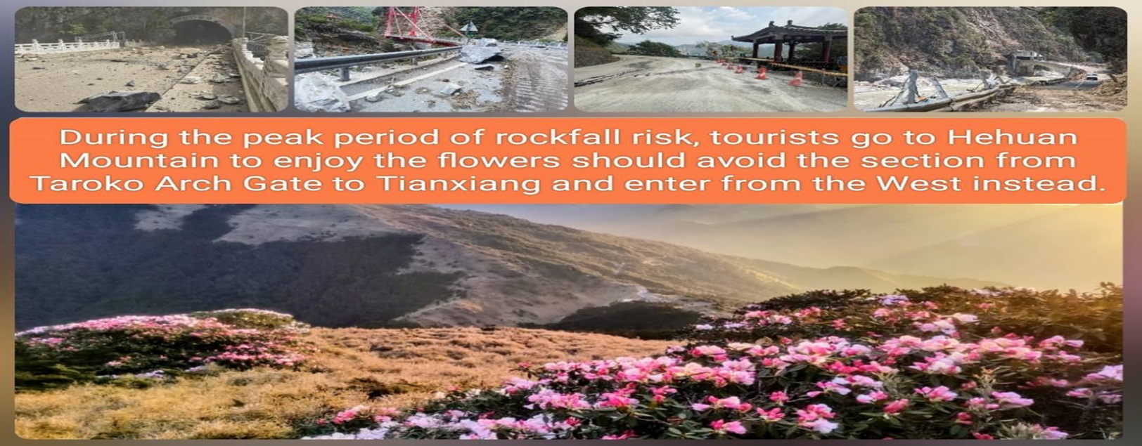 During the peak period of rockfall risk, tourists go to Hehuan Mountain to enjoy the flowers should avoid the section from Taroko Arch Gate to Tianxiang and enter from the West instead.