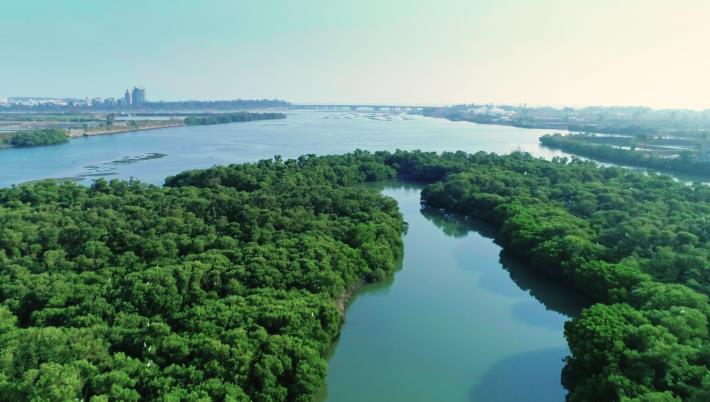 Yanshui River Estuary Wetlands