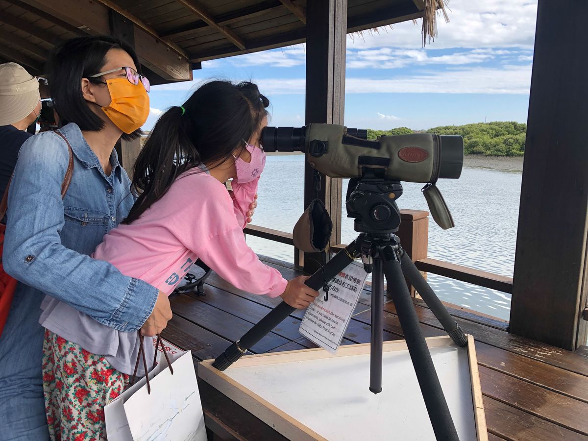 造訪七股黑面琵鷺保護區的賞鳥亭，在解說志工協助下，就近觀察黑琵的棲息環境