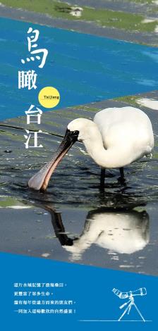 鳥瞰台江