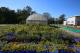 台江國家公園苗圃培育多樣原生植物