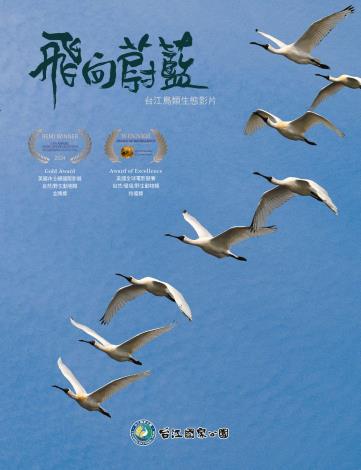 《飛向蔚藍：台江鳥類生態影片》得獎封面