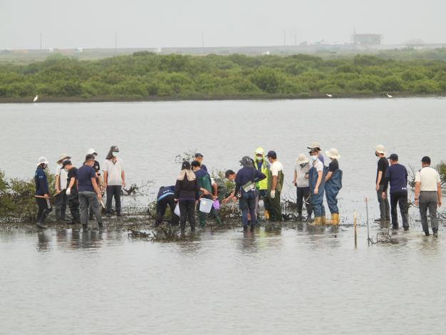 People attend the course for suppression of mangrove sprouts