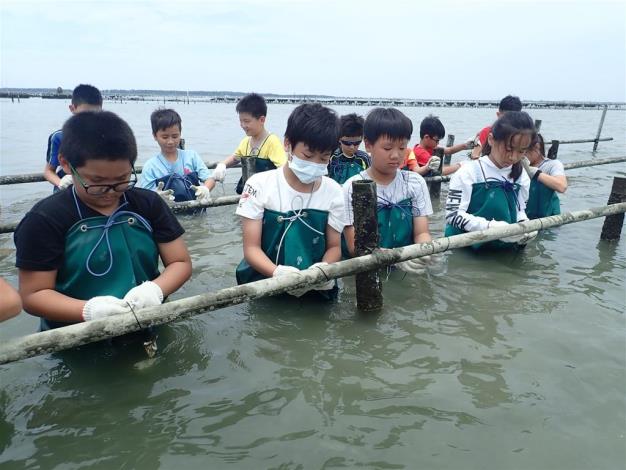 Oysters' Fiery Test - Students experiencing the hard work of oyster farmers through hands-on activities