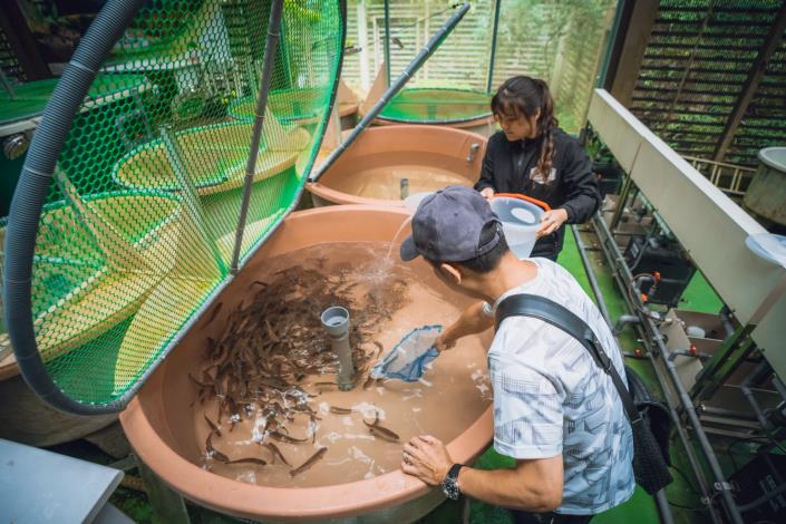 聖石放流活動_251020_4