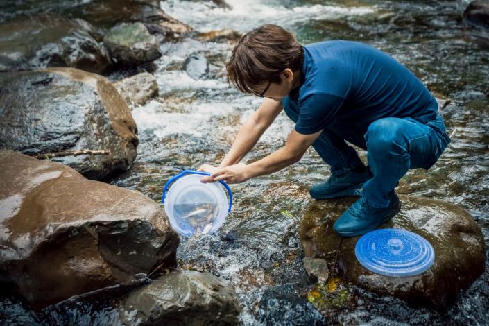 聖石放流活動_251020_7