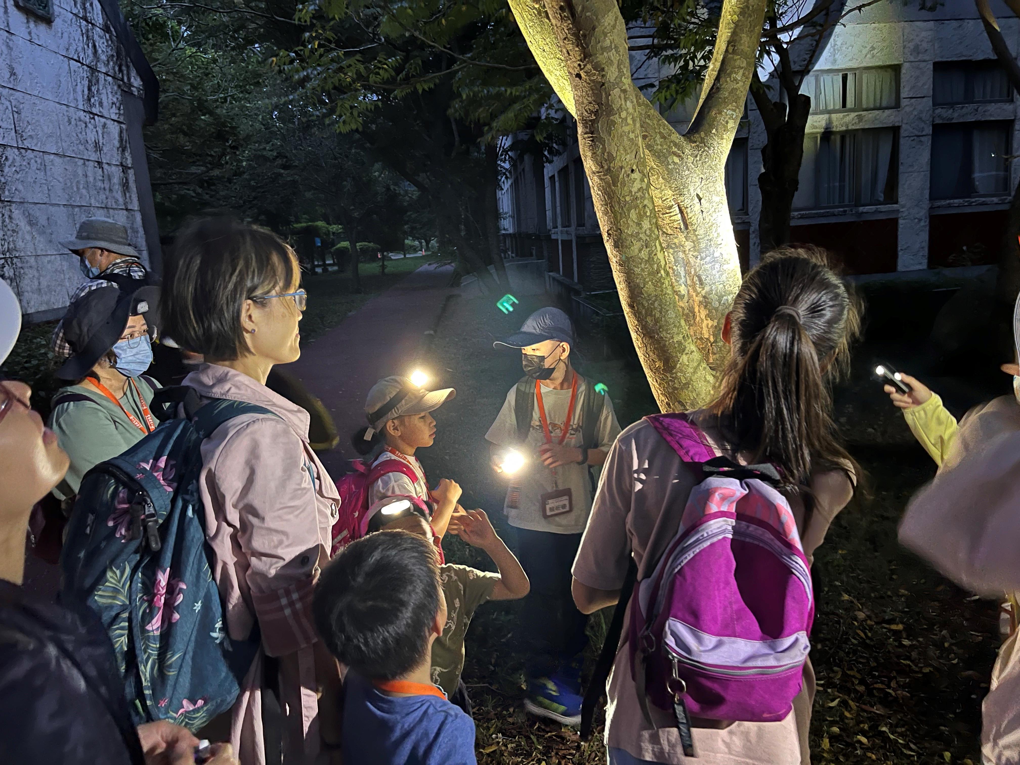 圖2夜間觀察活動