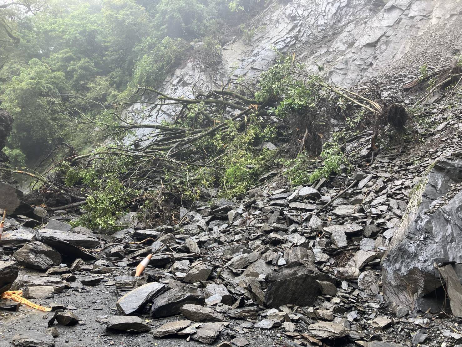 大鹿林道東線5.2K處因豪雨鋒面通過坍方1
