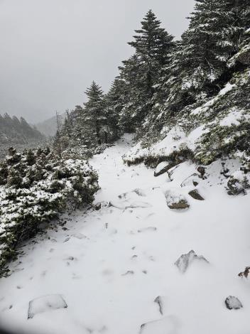 往雪山主峰路上積雪狀況 羅際興先生提供