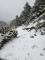 往雪山主峰路上積雪狀況 羅際興先生提供