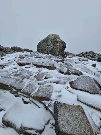 雪山主峰頂積雪約3公分 羅際興先生提供