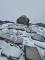 雪山主峰頂積雪約3公分 羅際興先生提供