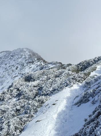 20250205 雪山目前雪況山友張雯鈞提供