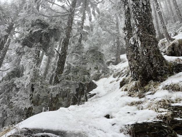 白雪覆蓋森林 美景當中暗藏危險須留心 雪霸處提供