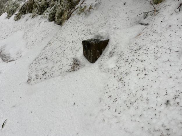大霸尖山9.8K里程樁被積雪覆蓋情形 雪霸處提供