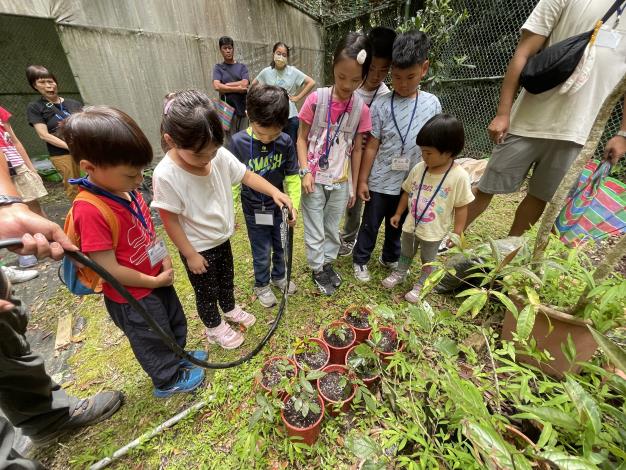 圖4、雪見原生植物苗圃親子植栽活動