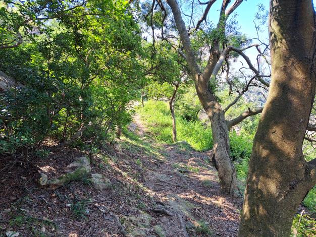 斗門登山古道