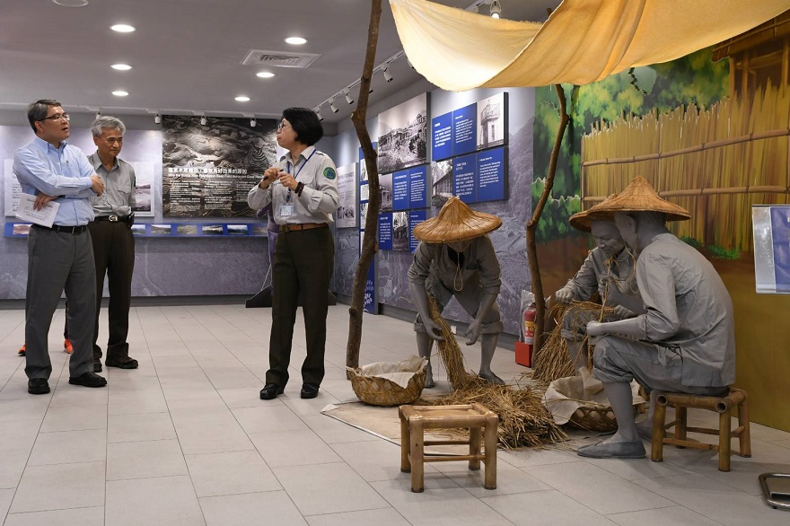 內政部次長花敬群參訪竹子湖蓬萊米原種田故事館認識蓬萊米的起源