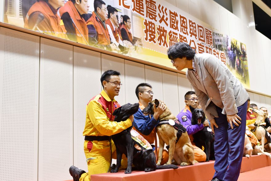 0206花蓮地震投入救災的搜救犬皆獲得「英勇搜救胸章」
