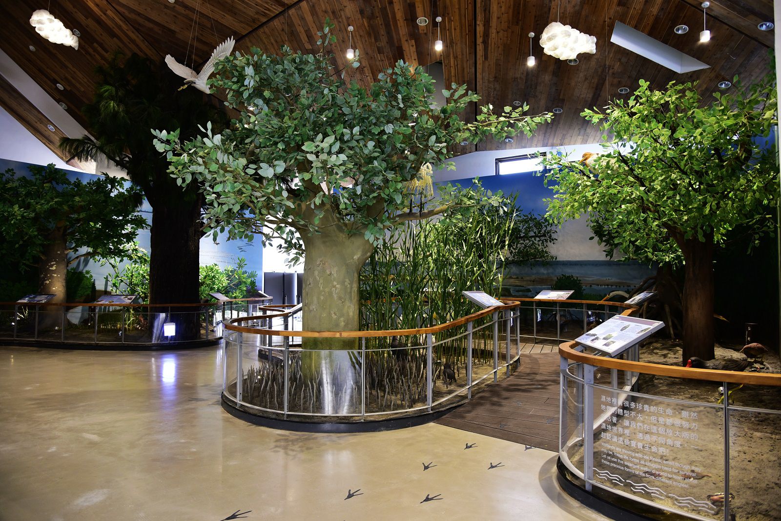 台管處遊客中心生態展示區放大8倍的濕地景觀
