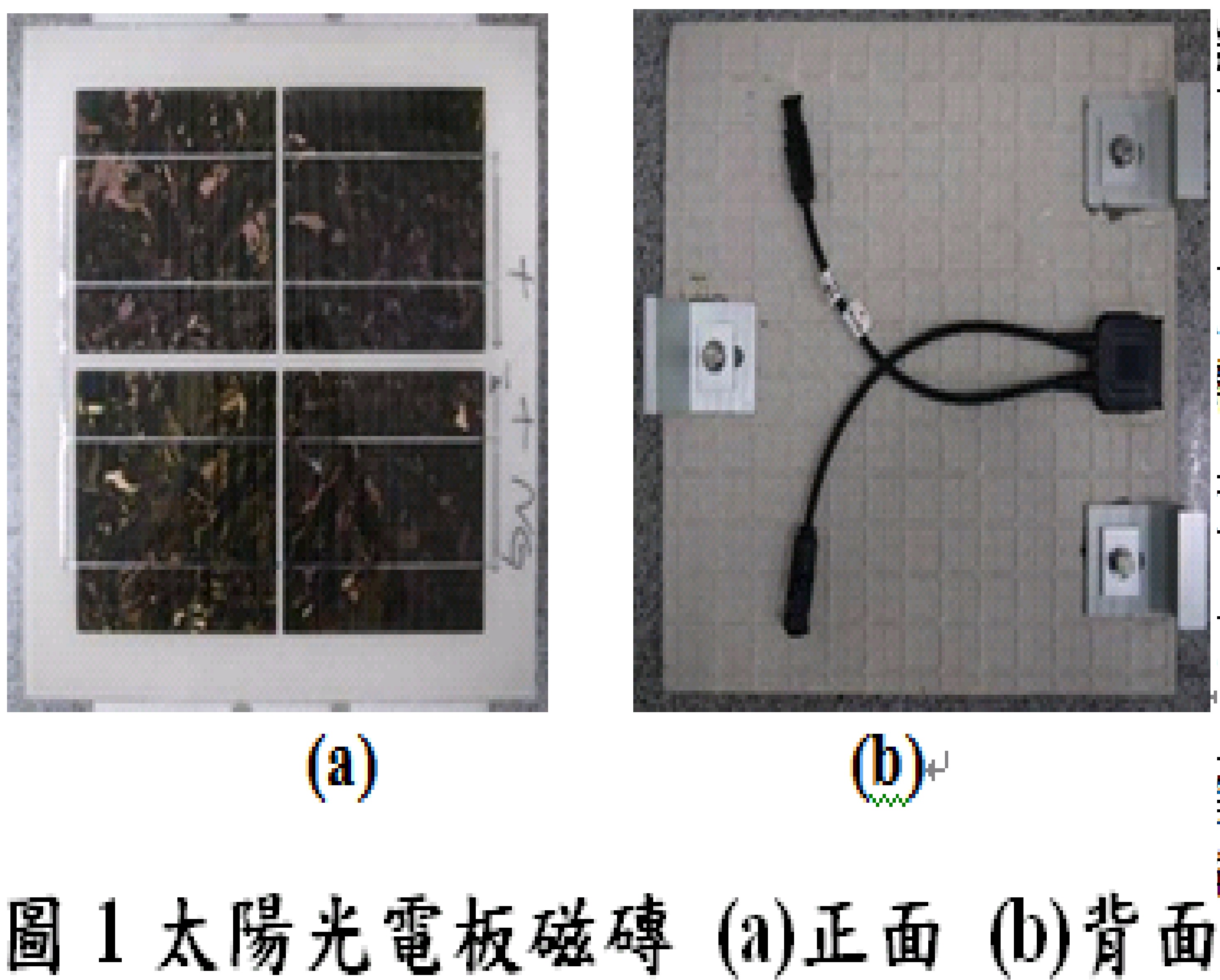 圖1　太陽光電板磁磚 (a)正面(b)背面