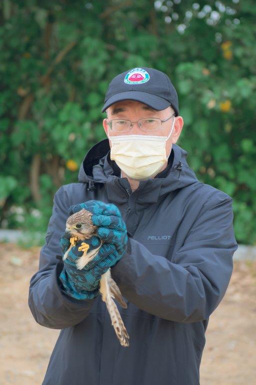 The kestrel was released back to the wild by park Director Cheng Jui-chang