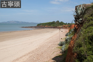 古寧頭位在金門島的西北角，海岸出露受到強烈風化的砂岩層。