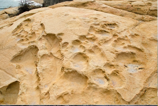 在面海測有一些小型的天然凹洞，如蜂窩狀排列。