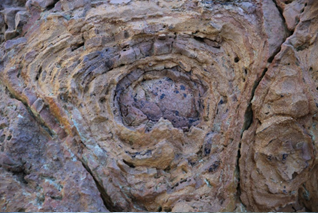 砂岩如狀似棕色流紋，實際為砂岩中氧化鐵稀出而成的風化紋以及生物移動留下的化石。