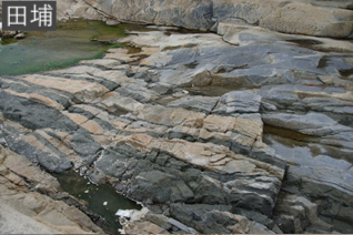 田浦海岸出露的岩層剖面以片麻岩為主，片麻岩具有發達的片麻理構造