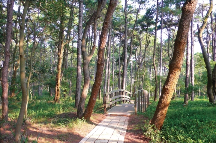 [另開新視窗]太武山區中山林遊憩區步道