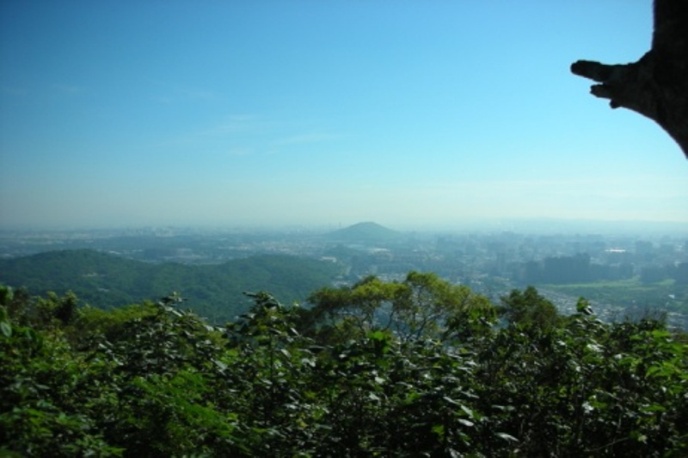 The greenery preserved by Shoushan acts as the lungs of Kaohsiung, providing clean air and a wealth of diverse life