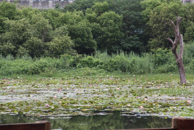 Chouchai Wetland Park