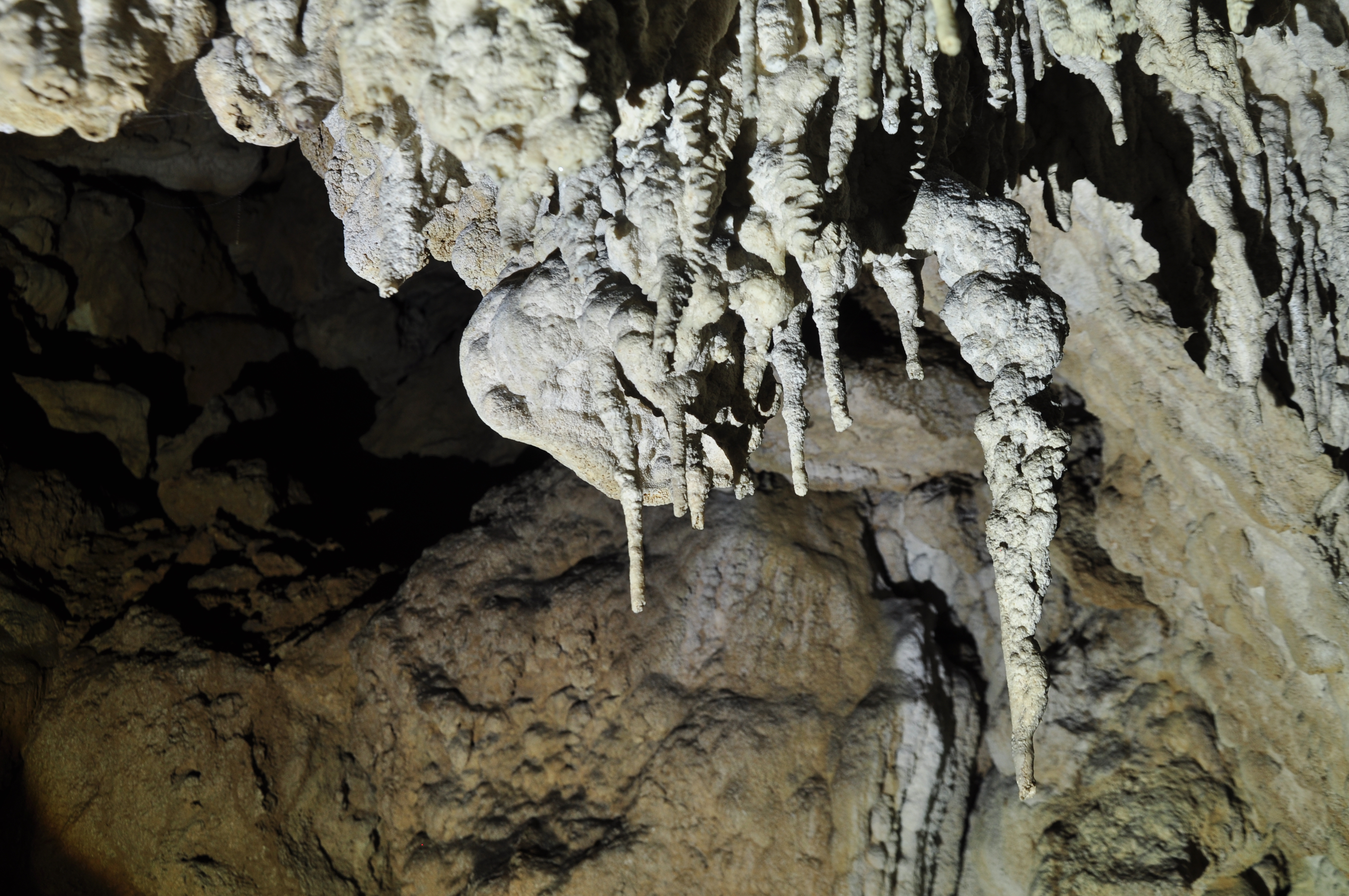 石灰岩洞穴內的石鐘乳景觀