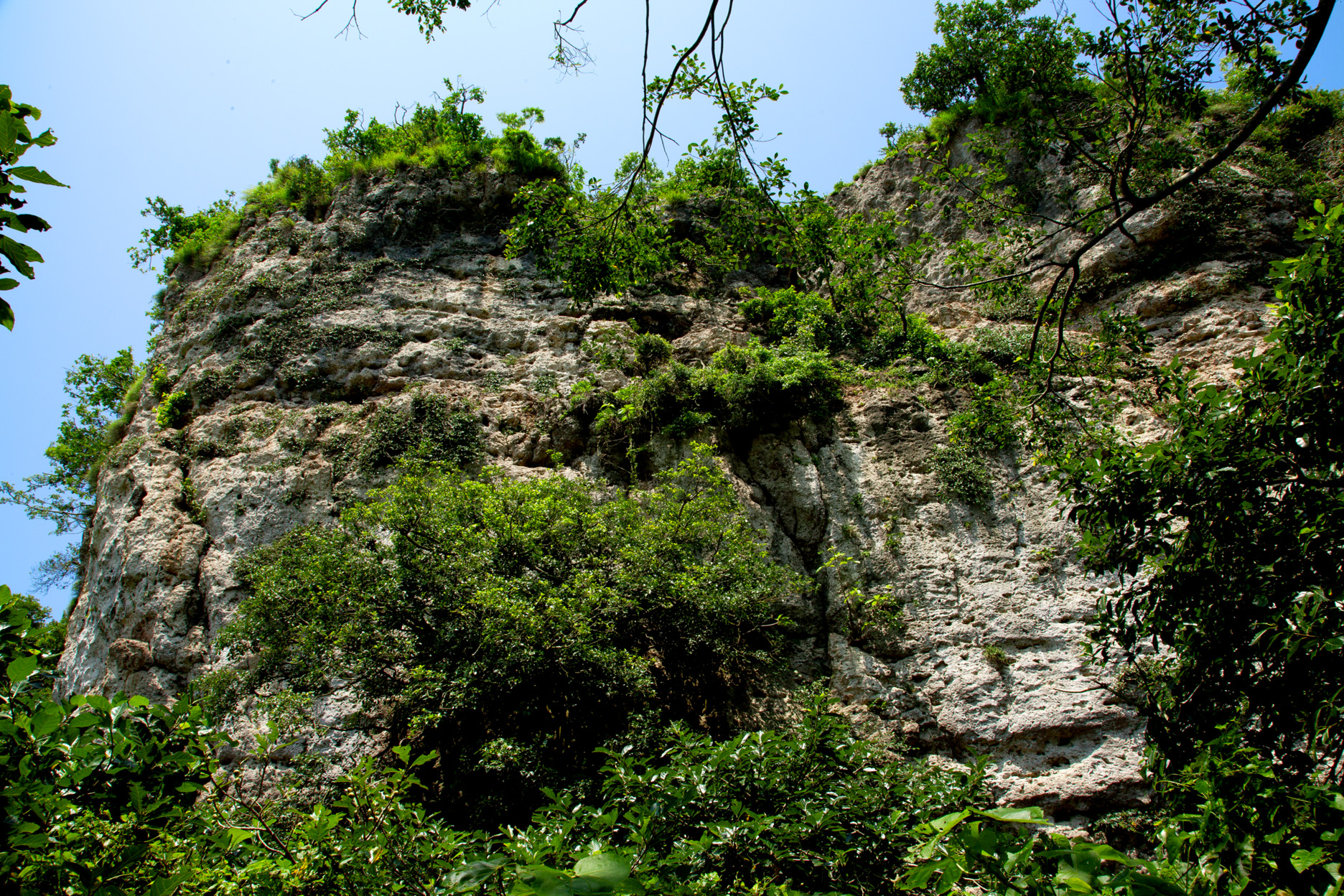壽山猴岩