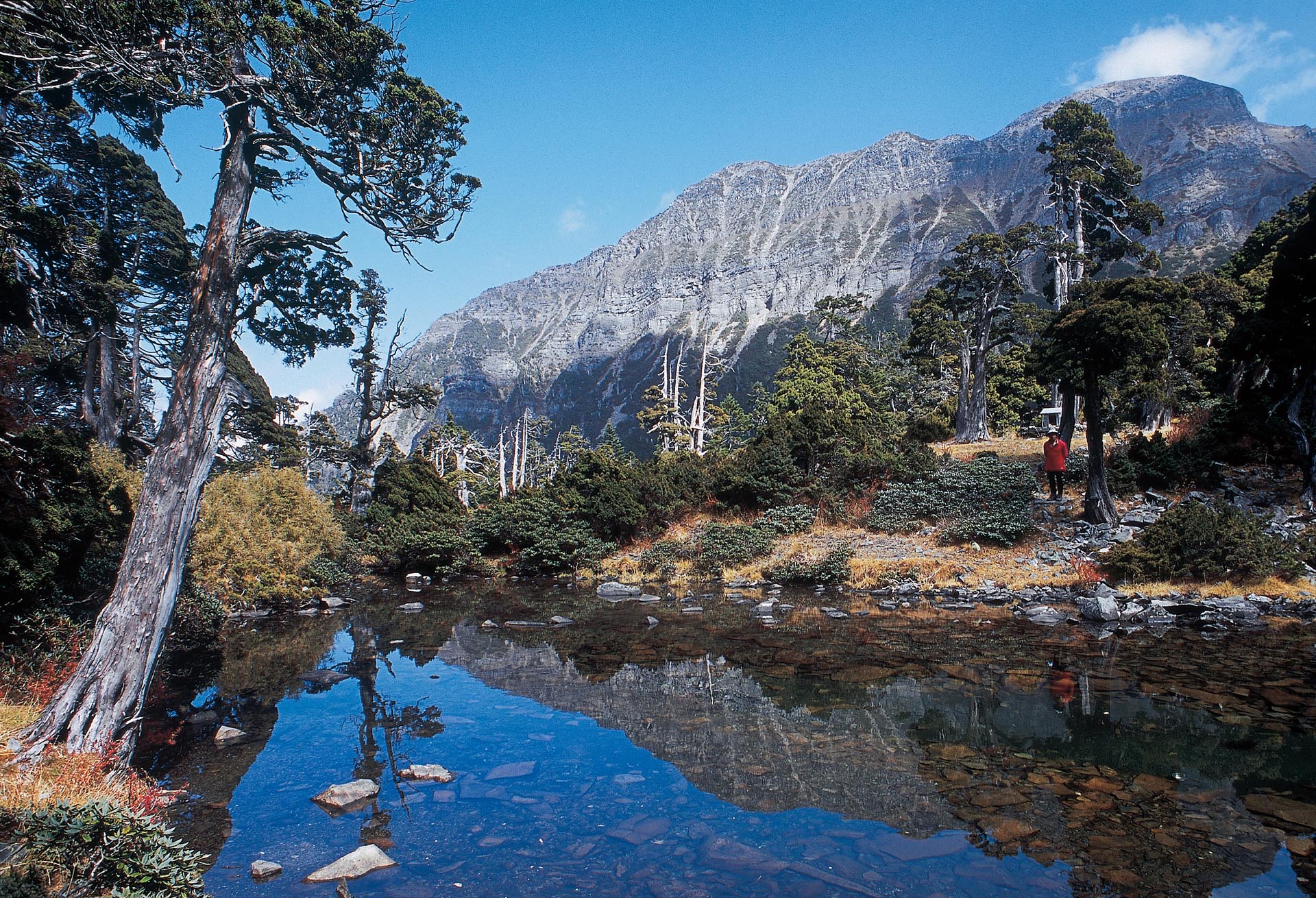 Cuei Pond, its pristine waters babble in perpetuity, surrounded by precious Yushan Juniper.