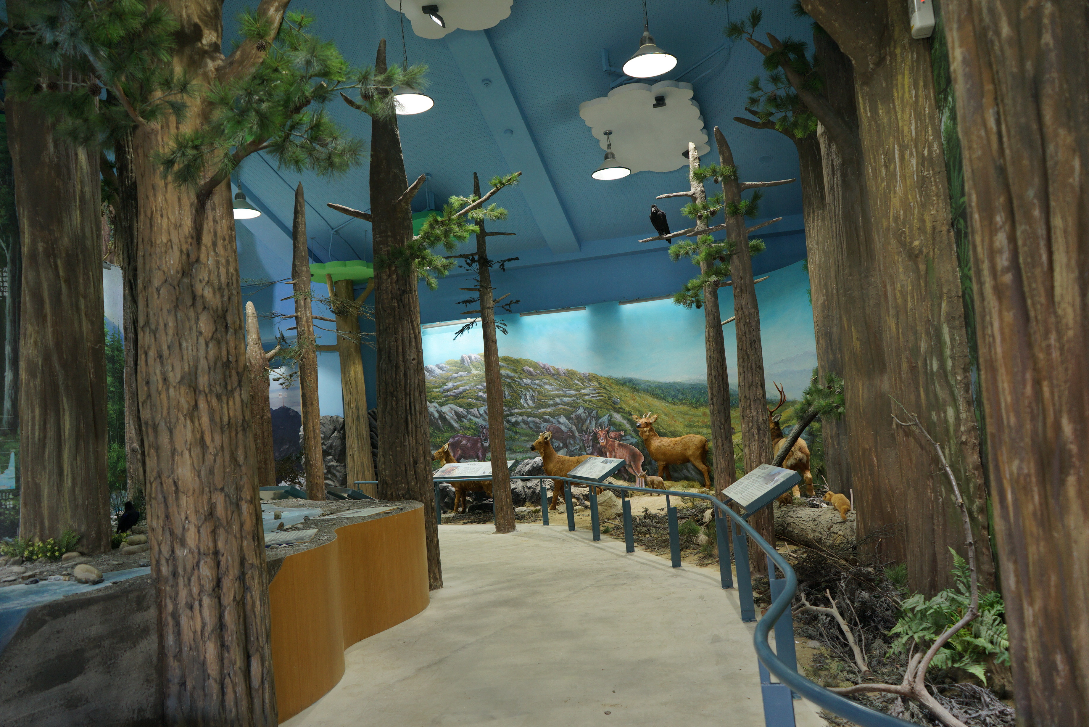 展示廳，兩旁有人造的樹，遠處有梅花鹿模型